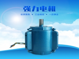 科瑞萊環(huán)?？照{1.1KW專用電機
